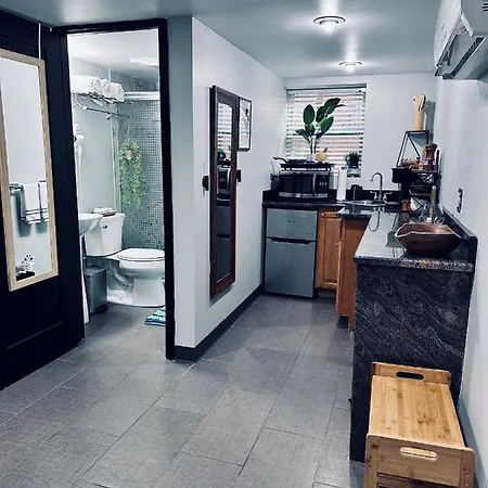 Chicago - Pilsen Studio Apartment - Unit B